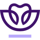 PracticeWorks logo